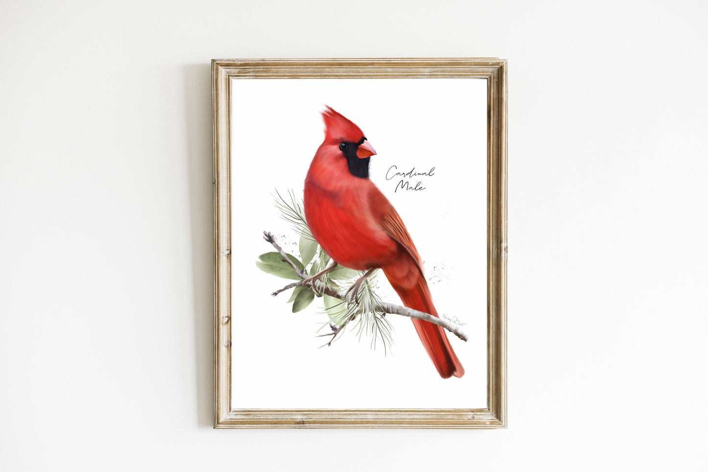 Framed artwork of a red cardinal bird on a white background