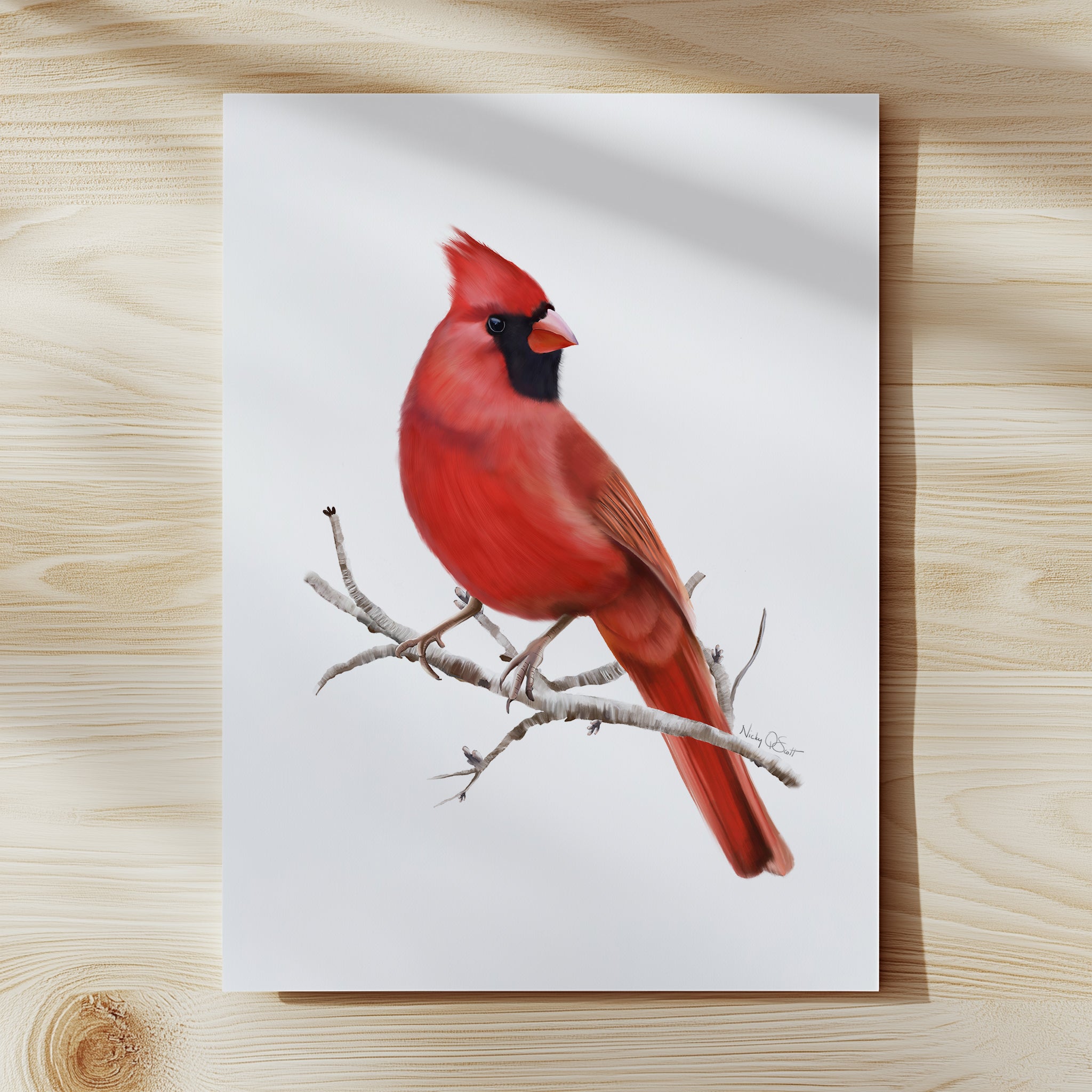 Cardinal Bird on Branch Art Print – Studio Q - Art by Nicky