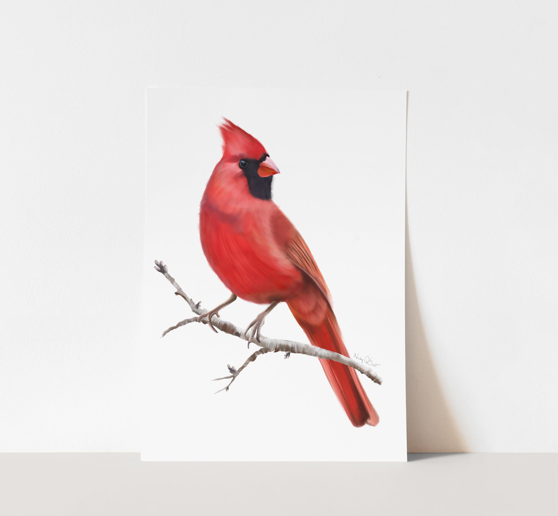 Red cardinal bird art sitting on a branch against a white background