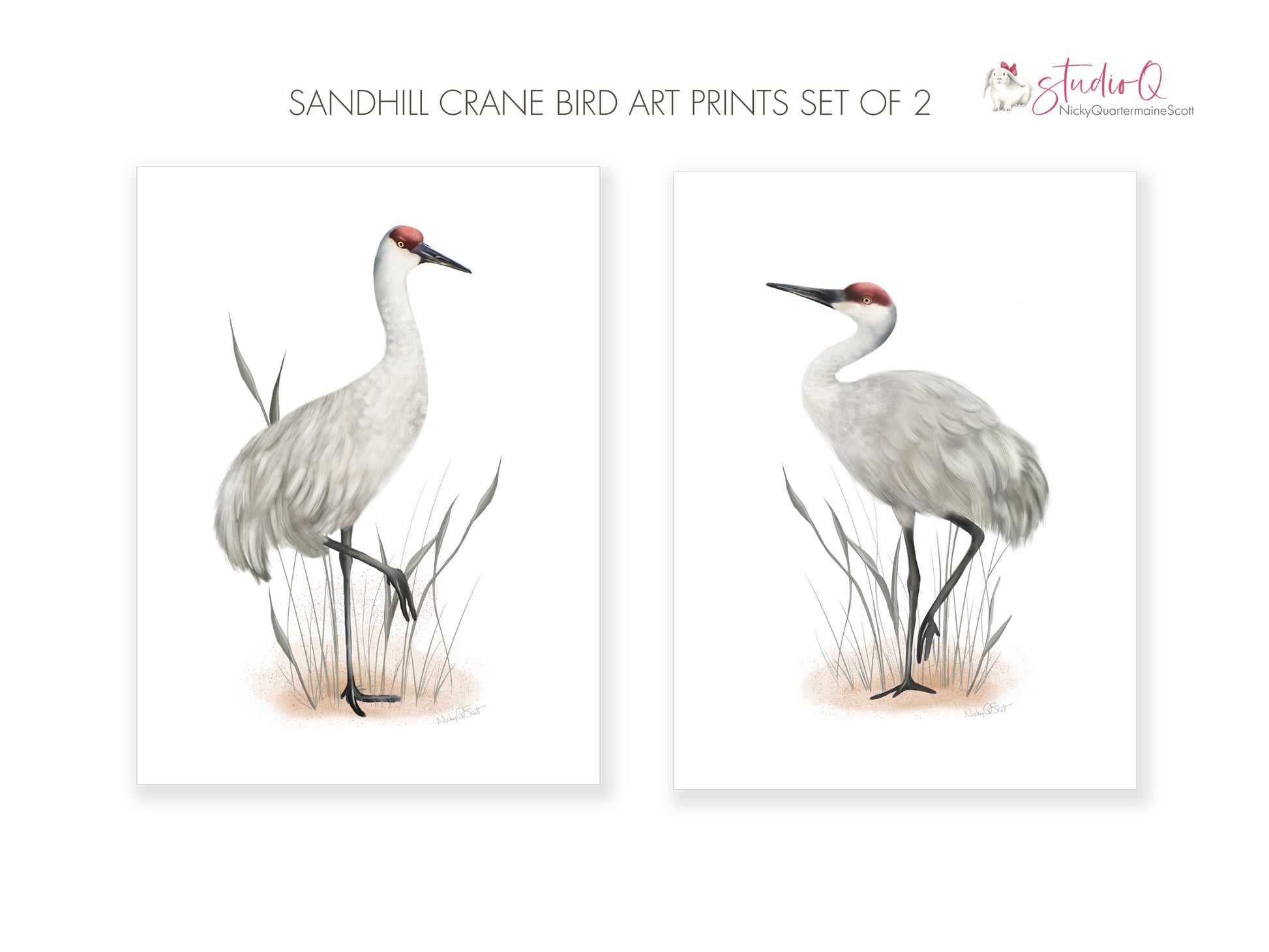 Sandhill Crane Bird Art Prints - Set of 2 - Studio Q - Art by Nicky Quartermaine Scott