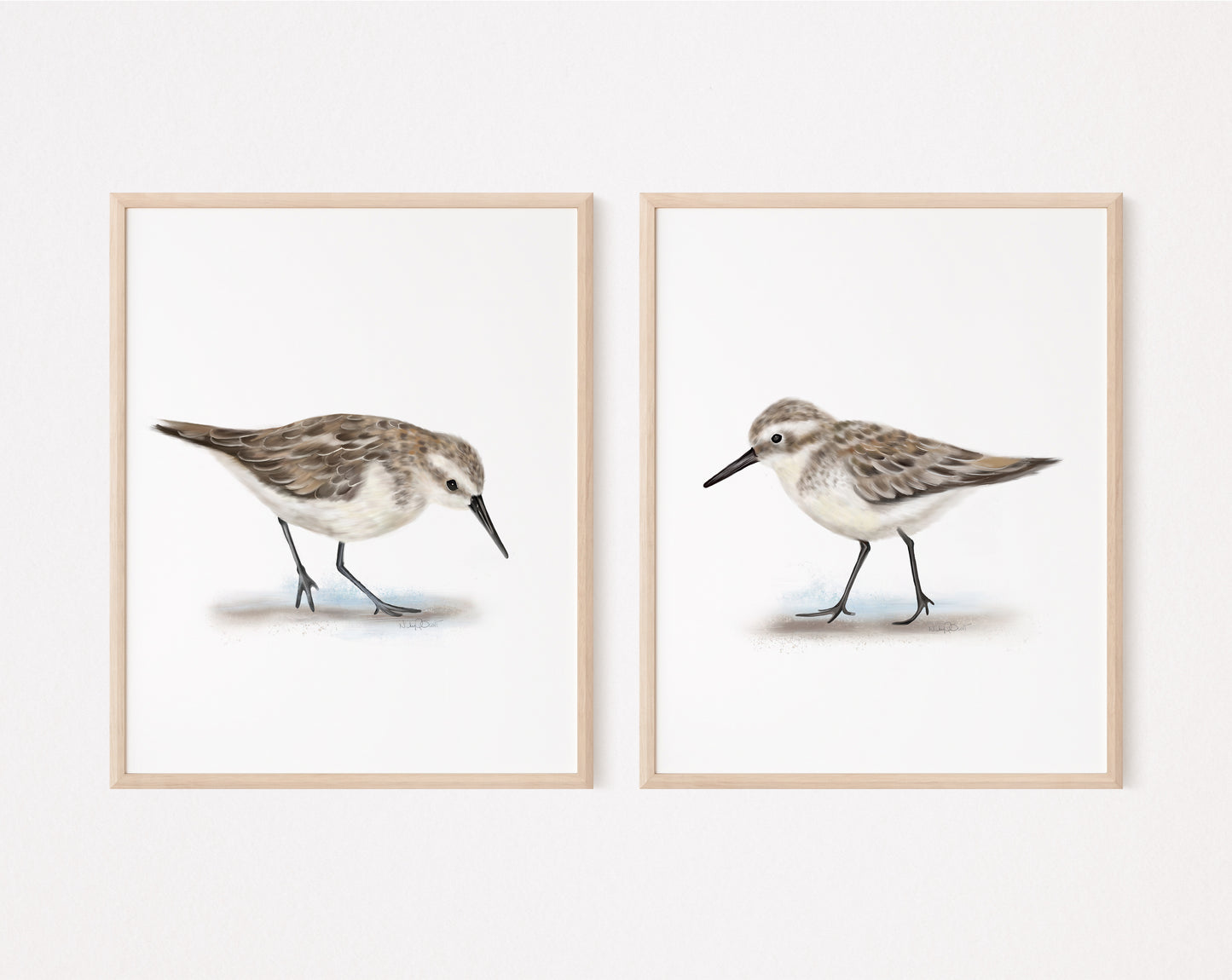 Sandpiper Bird Art Prints - Set of 2