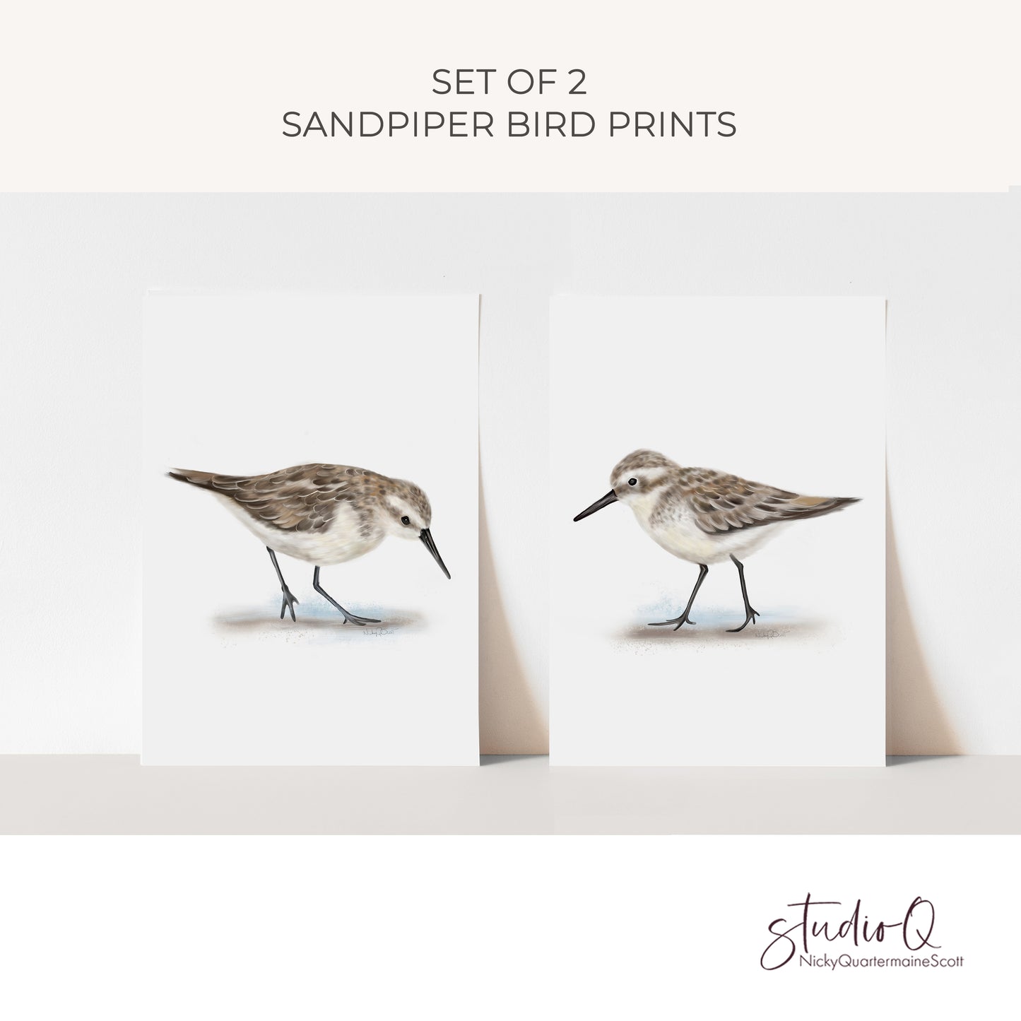 Sandpiper Bird Art Prints - Set of 2
