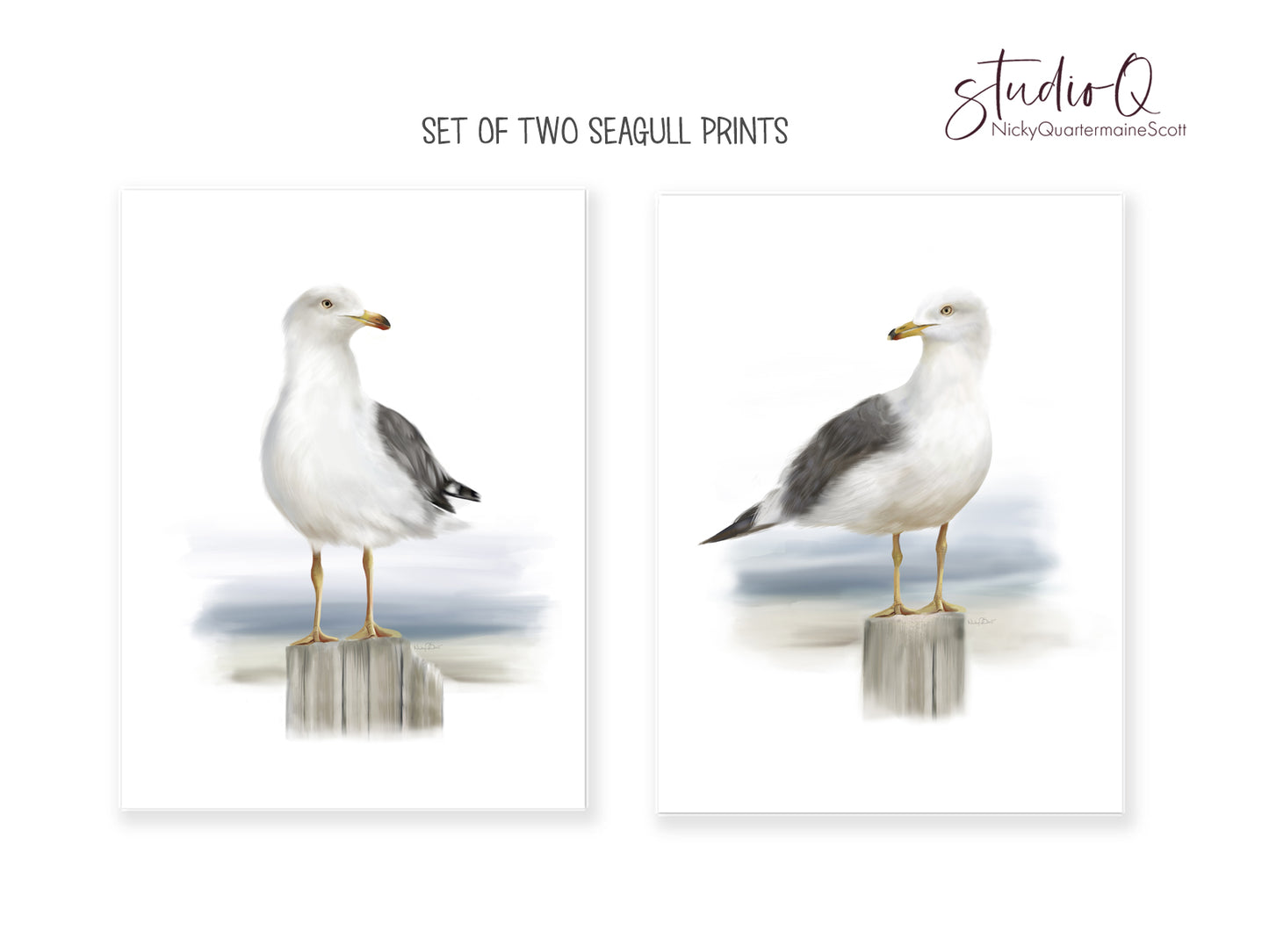 Seagull Bird Art Prints - Set of 2  - Studio Q - Art by Nicky Quartermaine Scott
