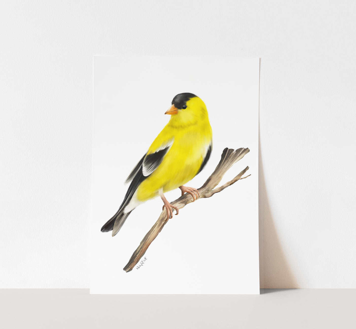 Goldfinch Bird Goldfinch Amazon Prime American Goldfinch Bird Art