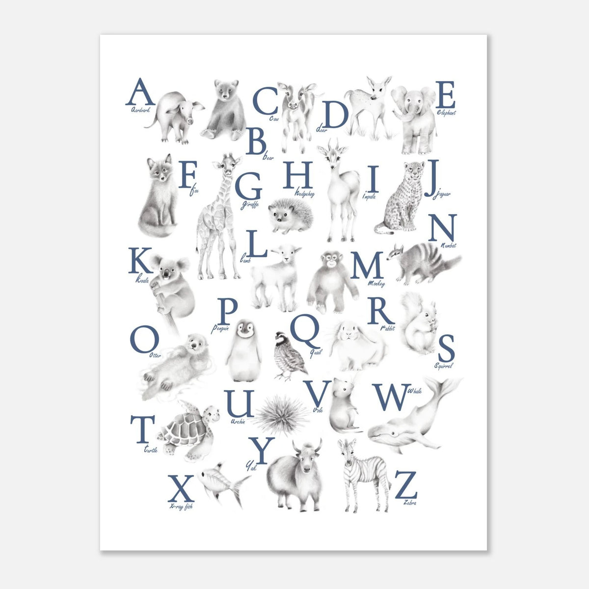 Animal Alphabet Print - Custom Letter Color – Studio Q - Art by
