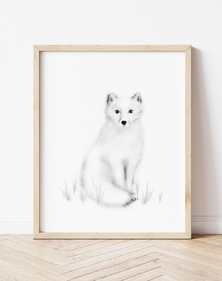 Arctic Fox Pencil Drawing Print - Studio Q - Art by Nicky Quartermaine Scott