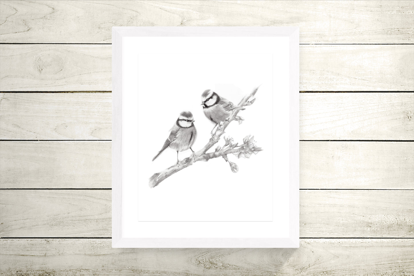 Two Birds on Branch Pencil Drawing Print - Studio Q - Art by Nicky Quartermaine Scott