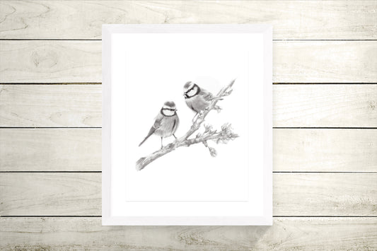 Two Birds on Branch Pencil Drawing Print - Studio Q - Art by Nicky Quartermaine Scott