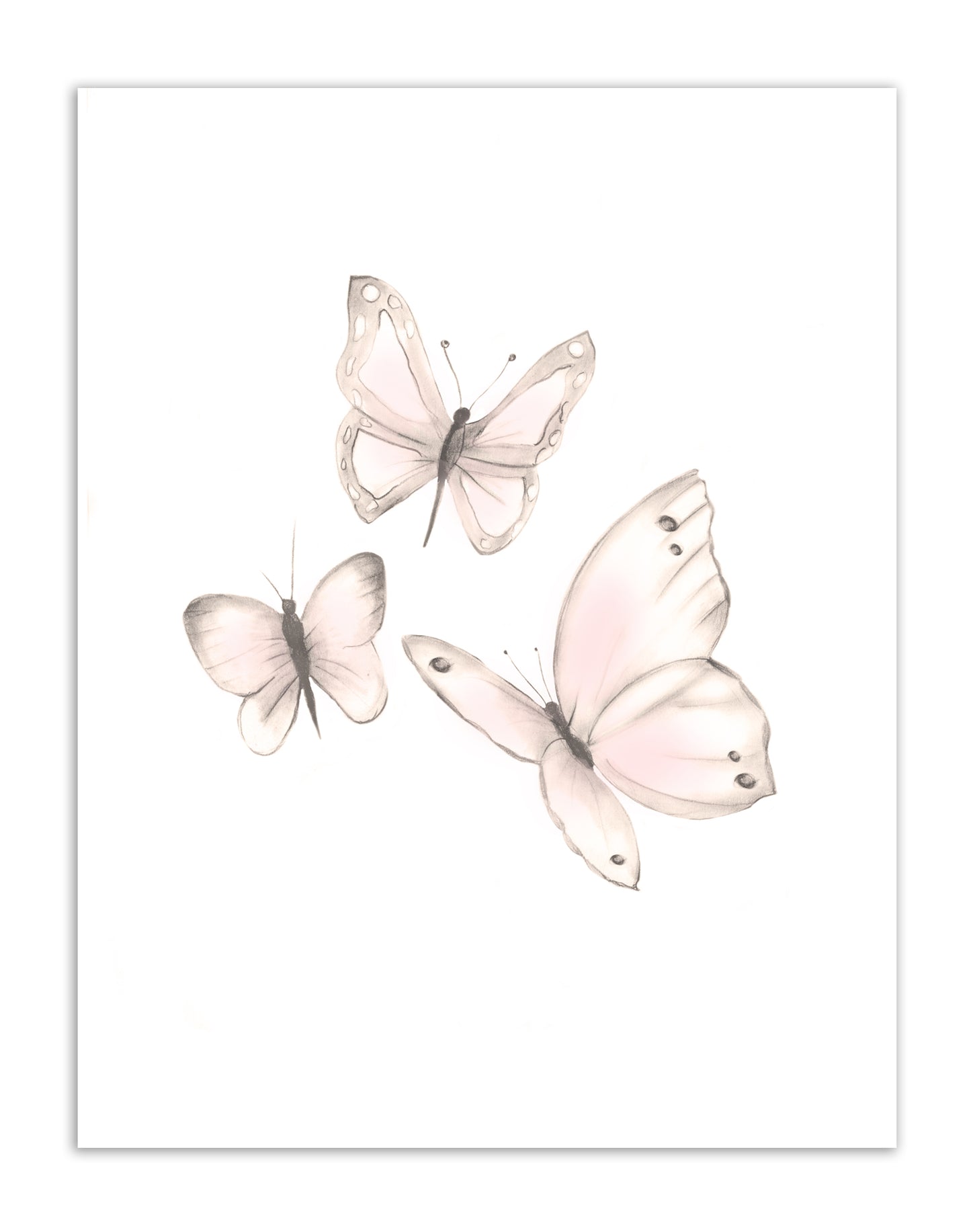 Butterflies Print 1- Sweet Blush- Studio Q - Art by Nicky Quartermaine Scott