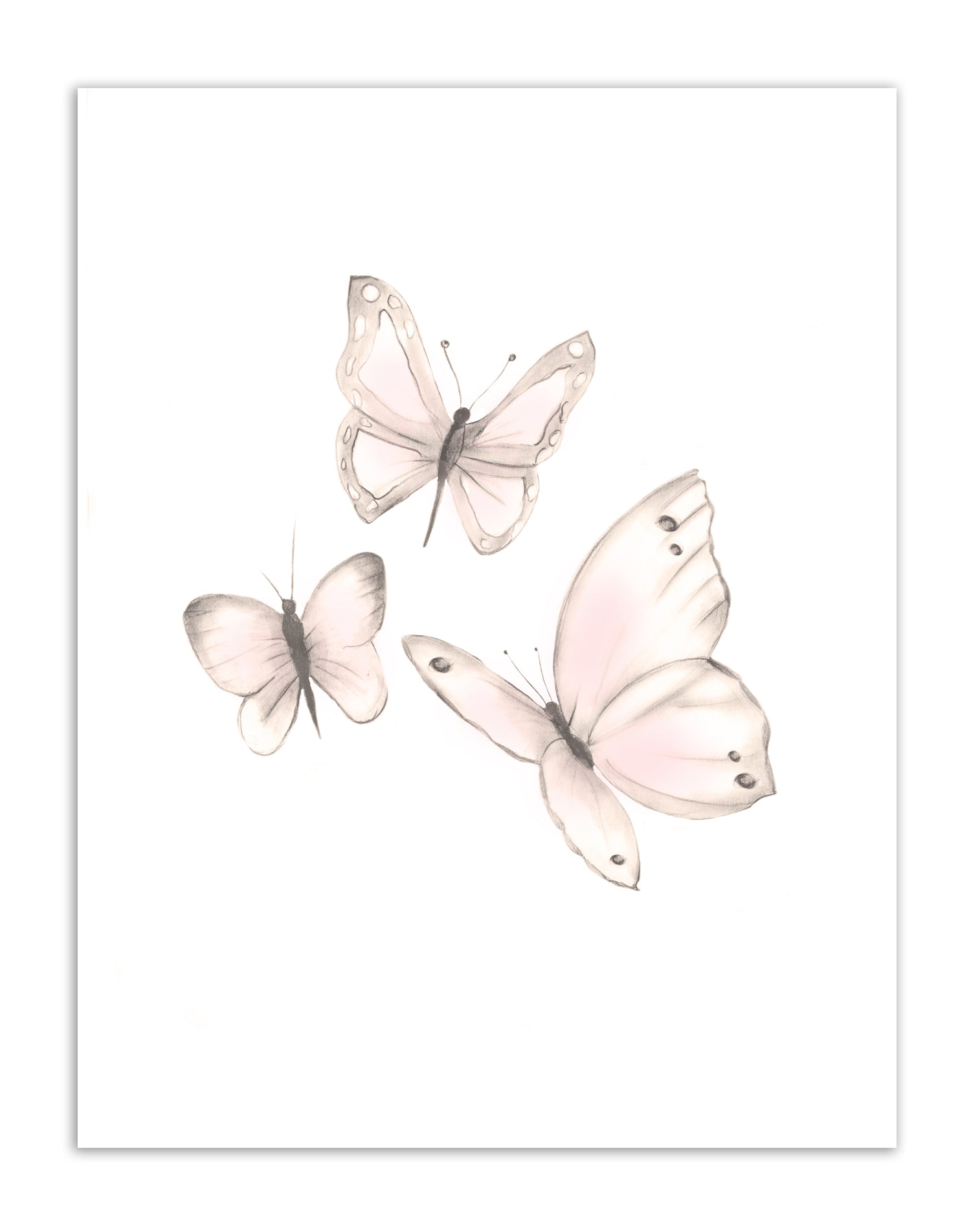 Butterflies Print 1- Sweet Blush- Studio Q - Art by Nicky Quartermaine Scott