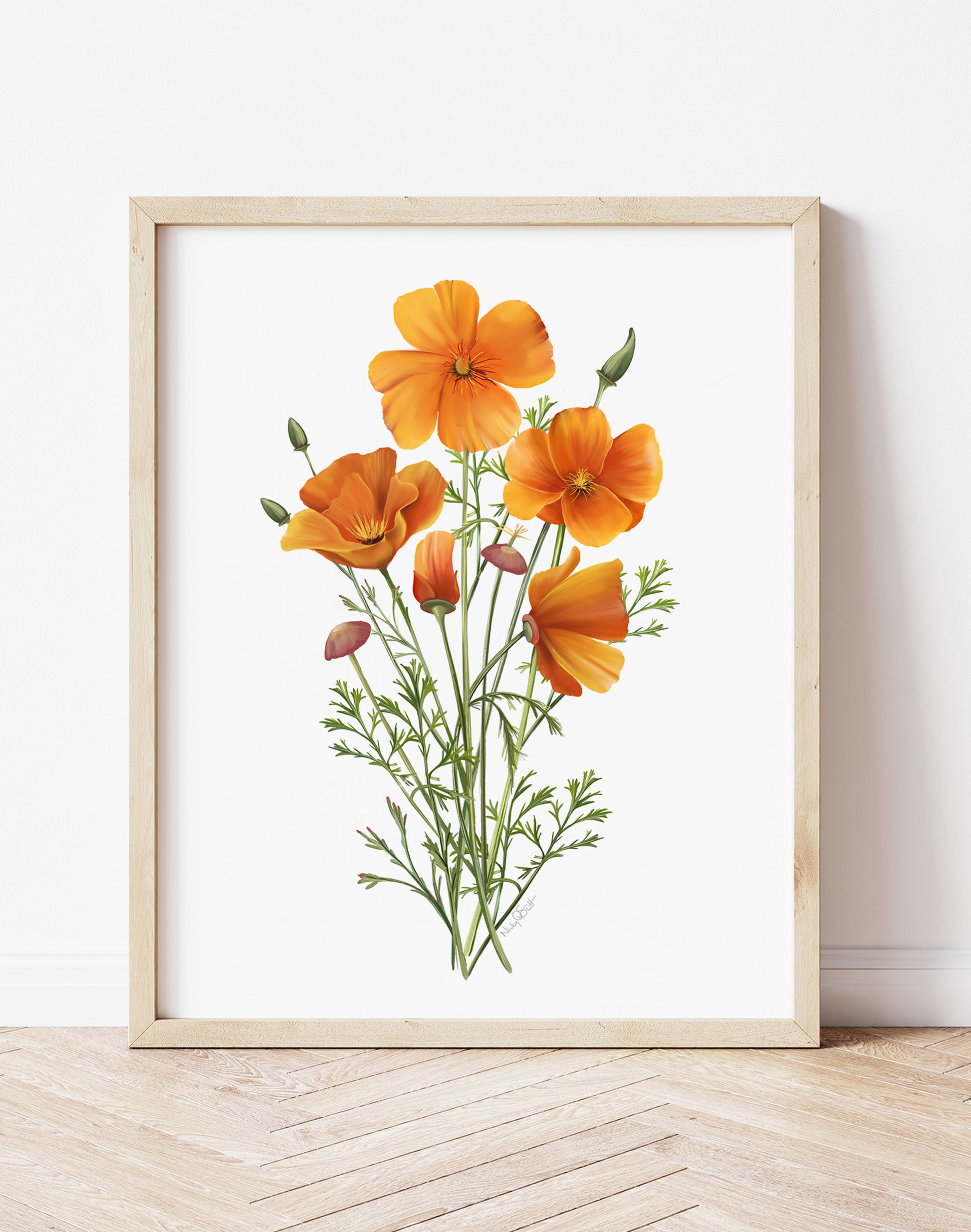 California Poppies Flower Art Print- Studio Q - Art by Nicky Quartermaine Scott