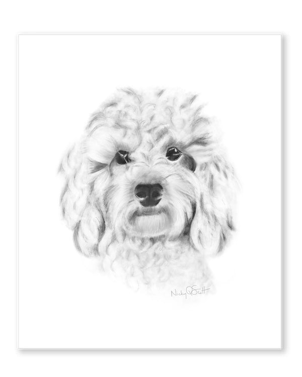 Covapoo Drawing Cavapoo Puppy Pencil Drawing Print – Studio Q - Art by Nicky ...