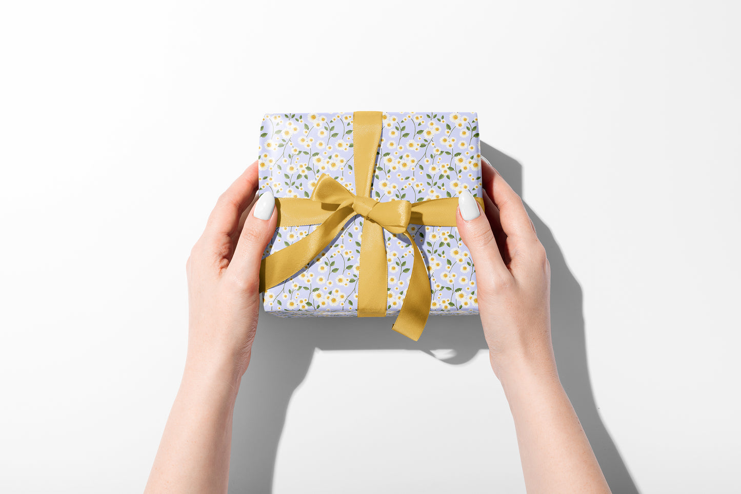 Daisy Blue Wrapping Paper- Studio Q - Art by Nicky Quartermaine Scott