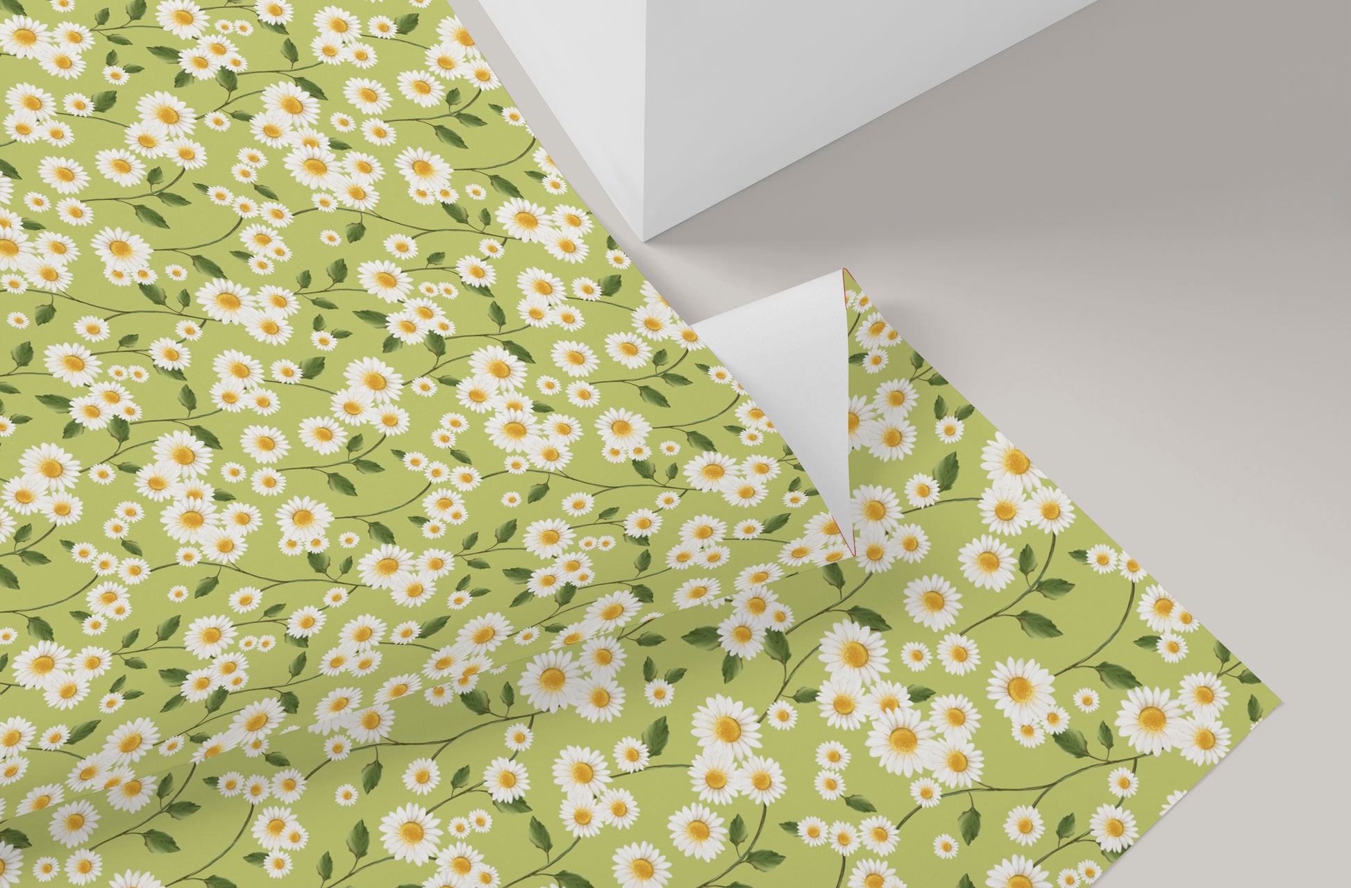 Daisy Flowers in Green Wrapping Paper- Studio Q - Art by Nicky Quartermaine Scott