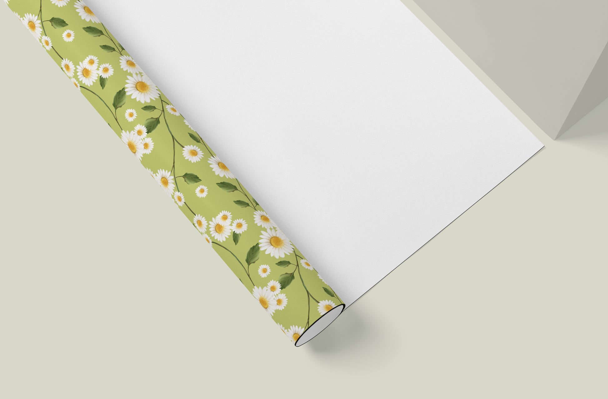 Daisy Flowers in Green Wrapping Paper- Studio Q - Art by Nicky Quartermaine Scott