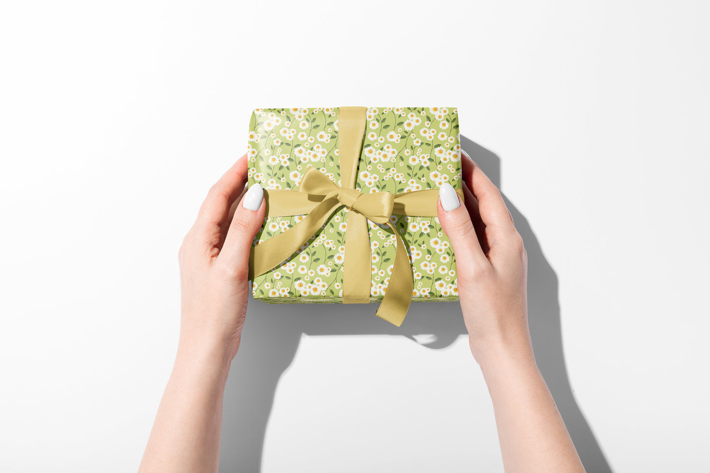 Daisy Flowers in Green Wrapping Paper- Studio Q - Art by Nicky Quartermaine Scott