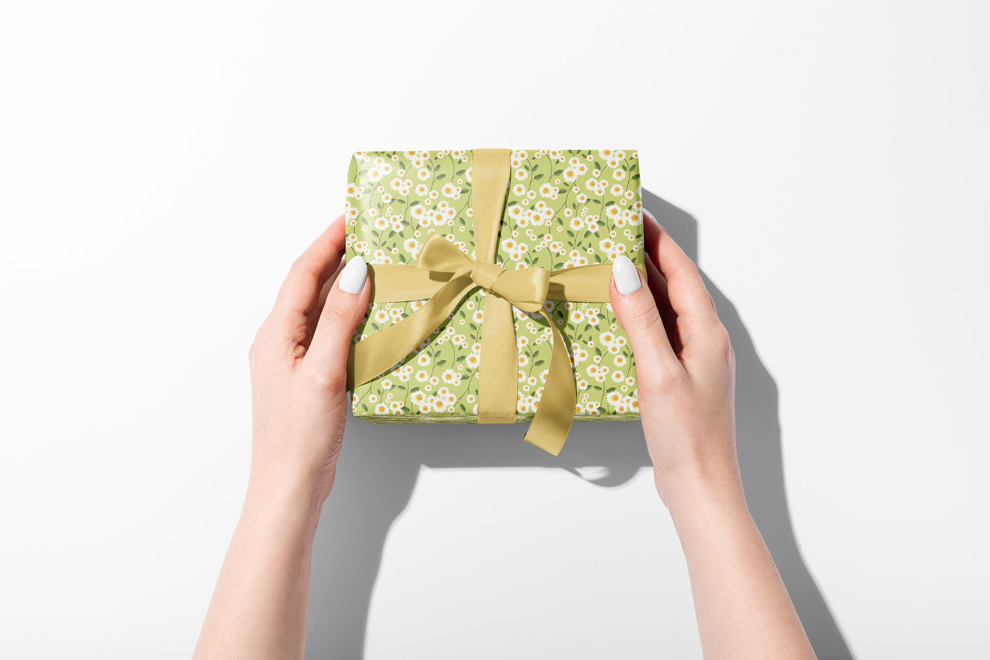 Daisy Flowers in Green Wrapping Paper- Studio Q - Art by Nicky Quartermaine Scott