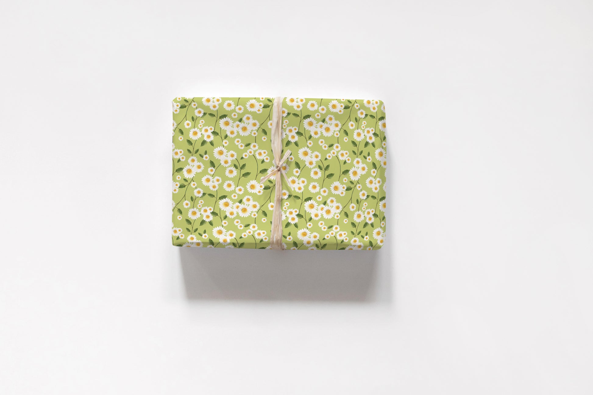 Daisy Flowers in Green Wrapping Paper- Studio Q - Art by Nicky Quartermaine Scott