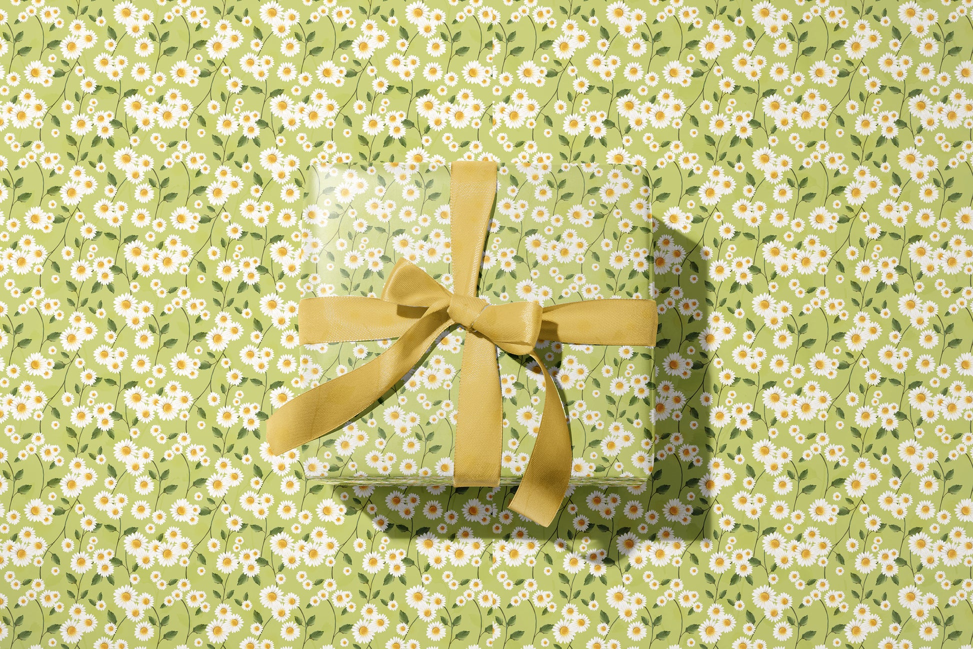 Daisy Flowers in Green Wrapping Paper- Studio Q - Art by Nicky Quartermaine Scott