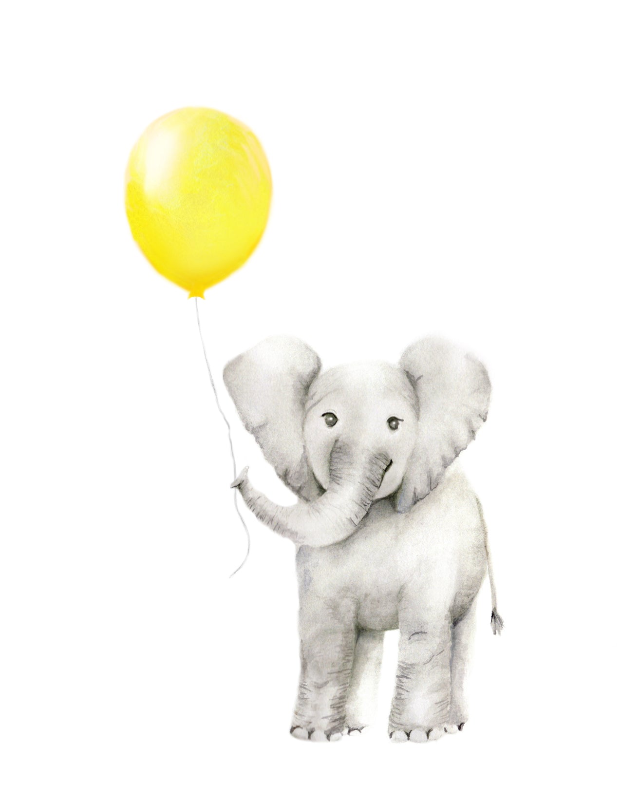 Safari Animal Art Prints - Set of 4 - Studio Q - Art by Nicky Quartermaine Scott