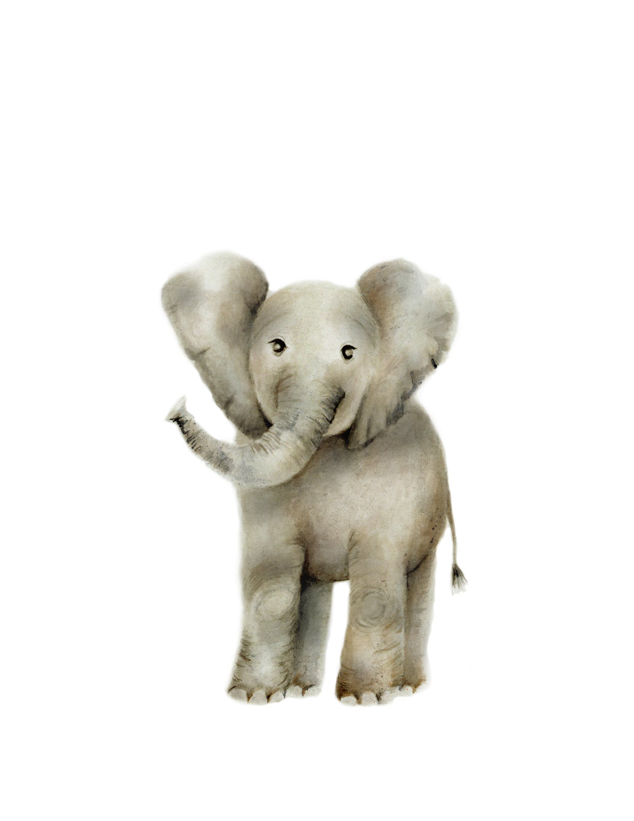Elephant Nursery Art Print - Studio Q - Art by Nicky Quartermaine Scott