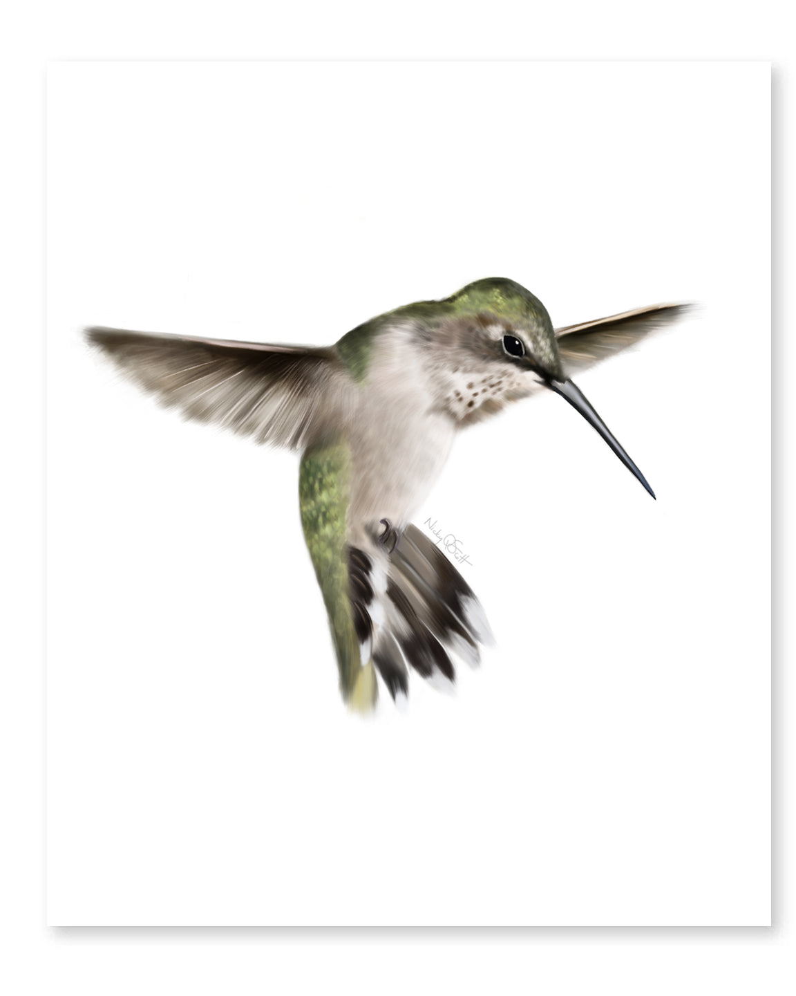 Female hummingbird painting on a white background - Studio Q - Art by NIcky Quartermaine Scott