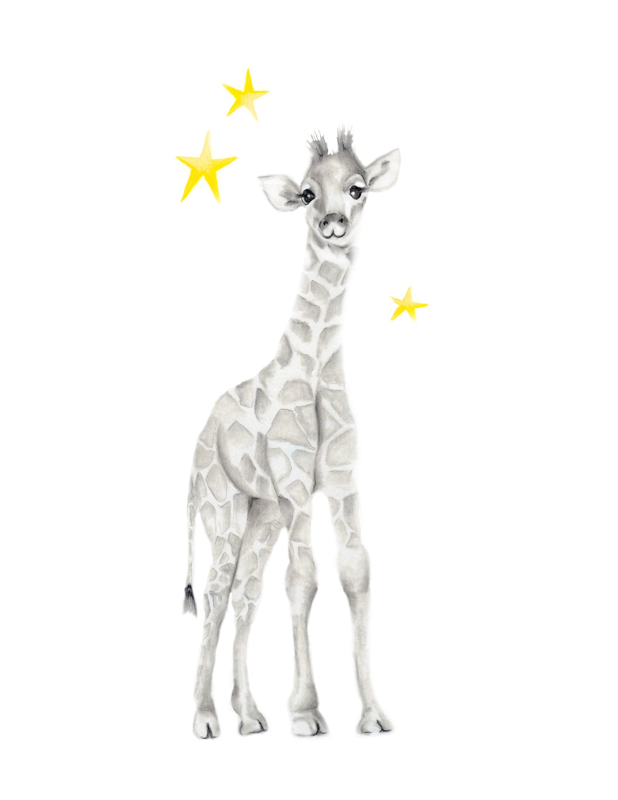 Safari Animal Art Prints - Set of 4 - Studio Q - Art by Nicky Quartermaine Scott