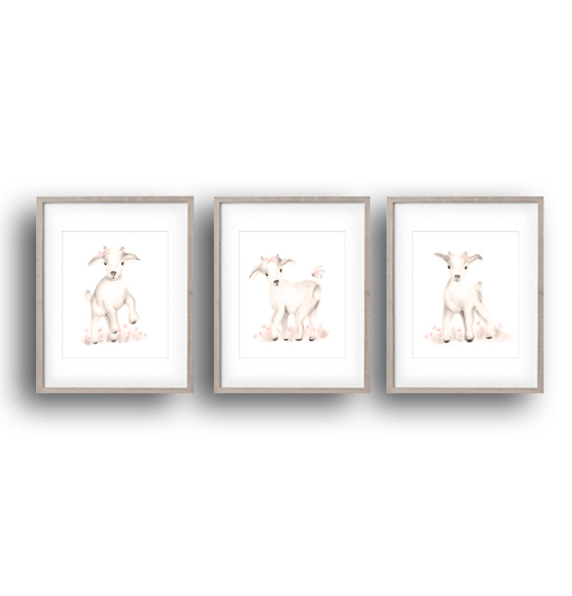 Set of three baby goat drawings in shades of sepia and sweet blush - Studio Q - Art by Nicky Quartermaine Scott