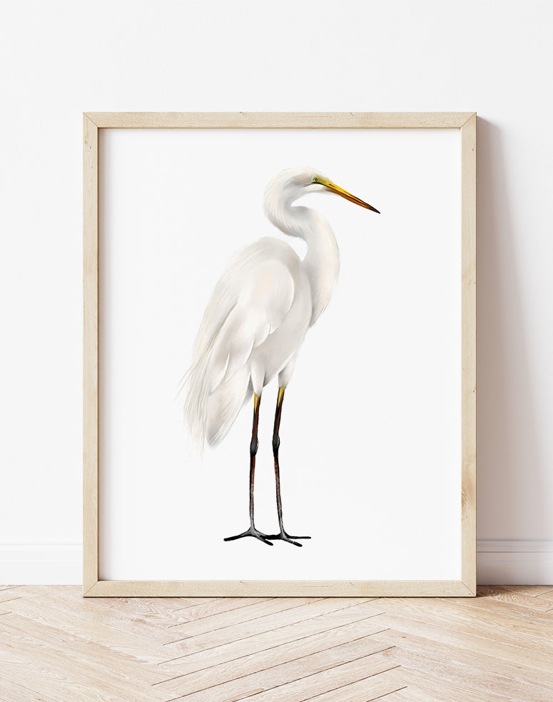 Great Egret Bird Art Print - Studio Q - Art by Nicky Quartermaine Scott