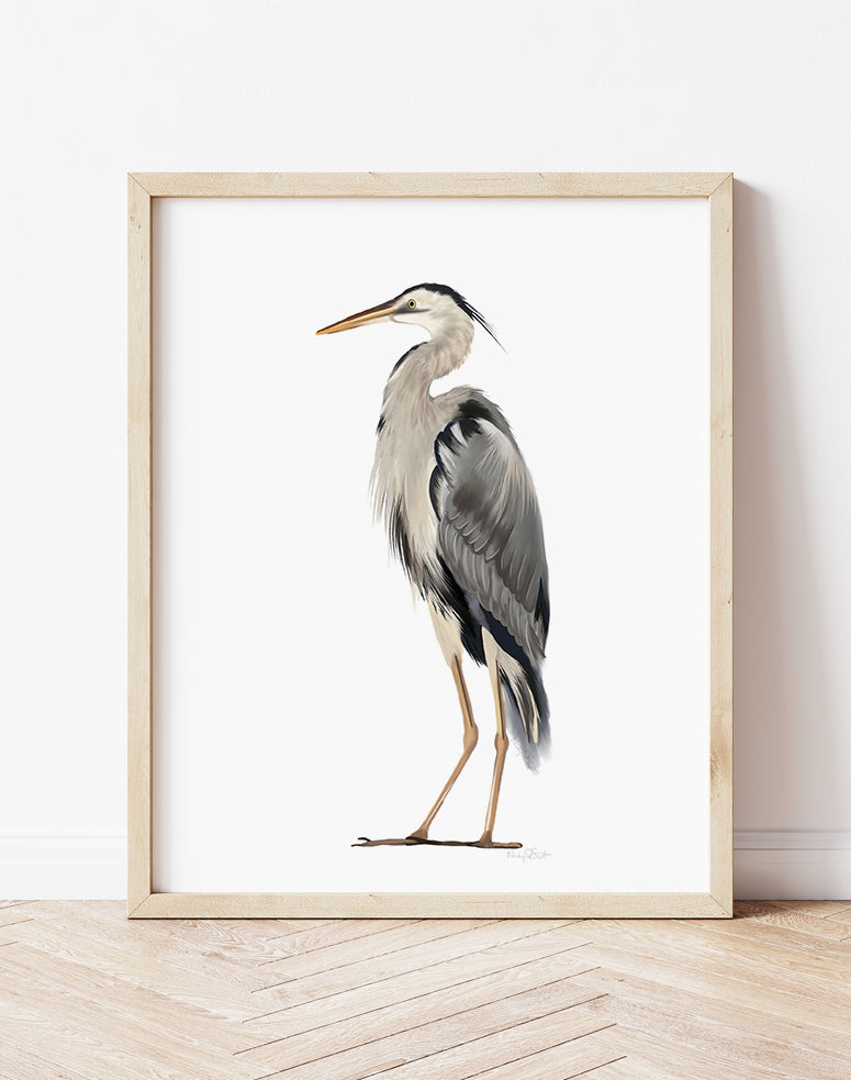 Great Blue Heron Bird Art Print - Studio Q - Art by Nicky Quartermaine Scott