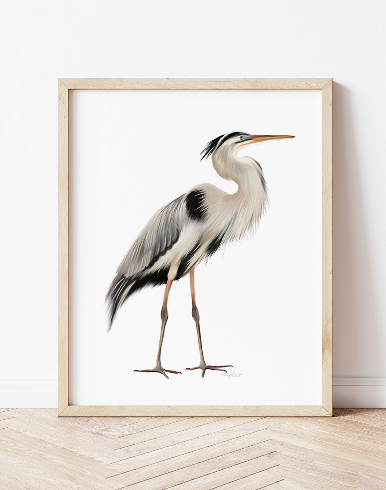 Great Blue Heron Bird Art Print 2 - Studio Q - Art by Nicky Quartermaine Scott
