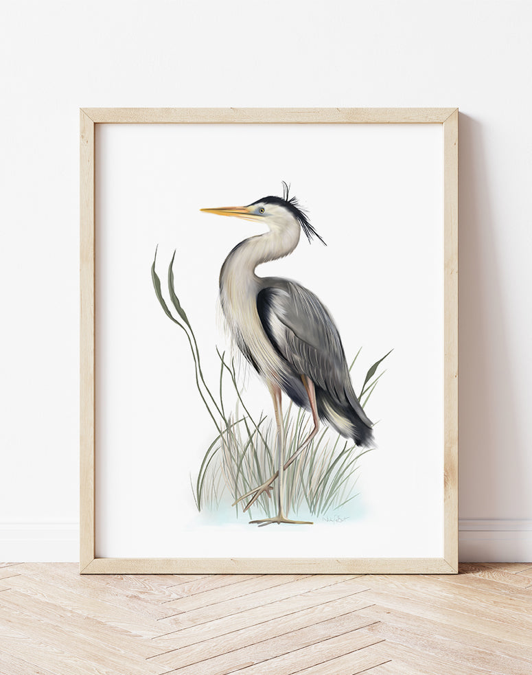 Great Blue Heron in Grasses Bird Art Print - Studio Q - Art by Nicky Quartermaine Scott