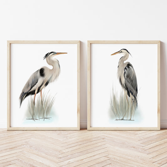 Blue Heron Bird Art Prints - Set of 2 - Studio Q - Art by Nicky Quartermaine Scott