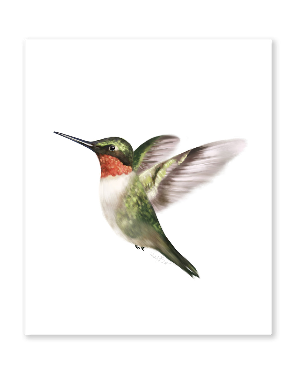 Hummingbird Art Print - Studio Q - Art by Nicky Quartermaine Scott