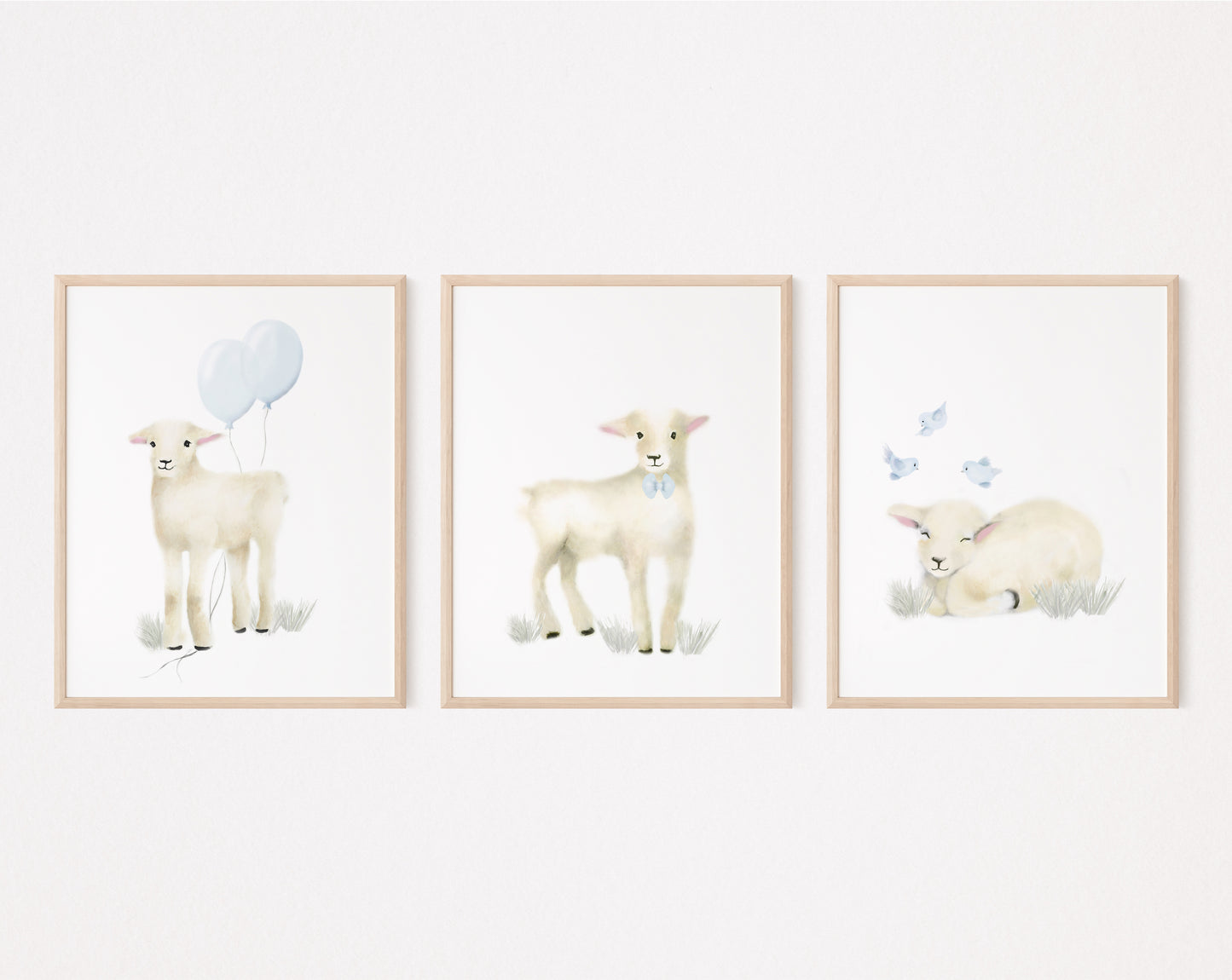 Baby Lamb Nursery Art Prints - Set of 3 - Studio Q - Art by Nicky Quartermaine Scott