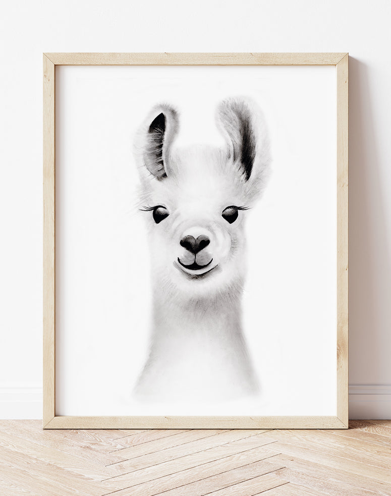 Llama Sketch Fluffy Face Print- Studio Q - Art by Nicky Quartermaine Scott