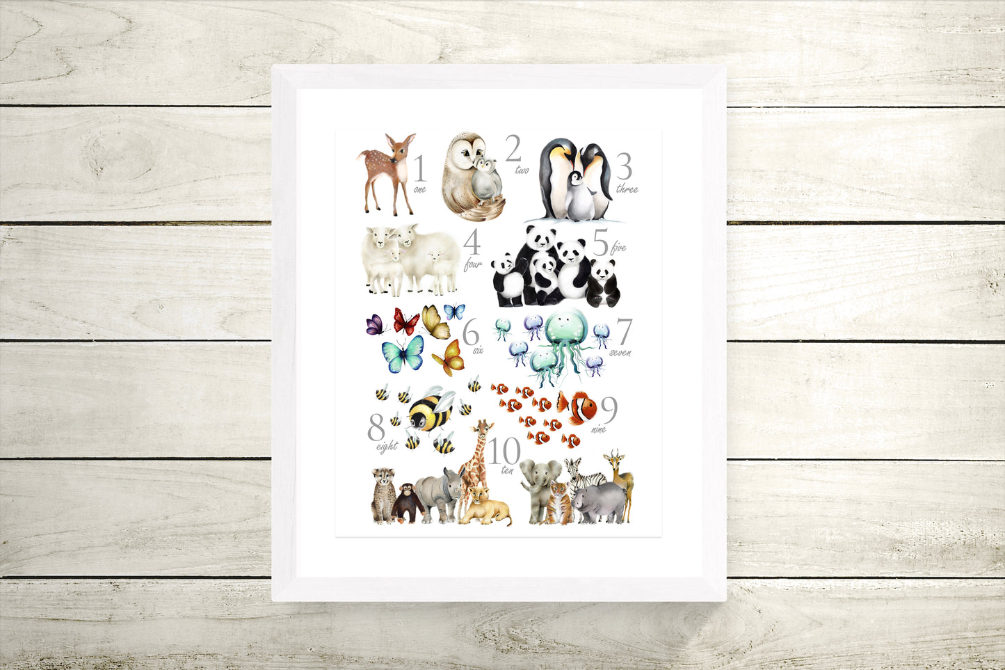 Animal Numbers Print - Studio Q - Art by Nicky Quartermaine Scott