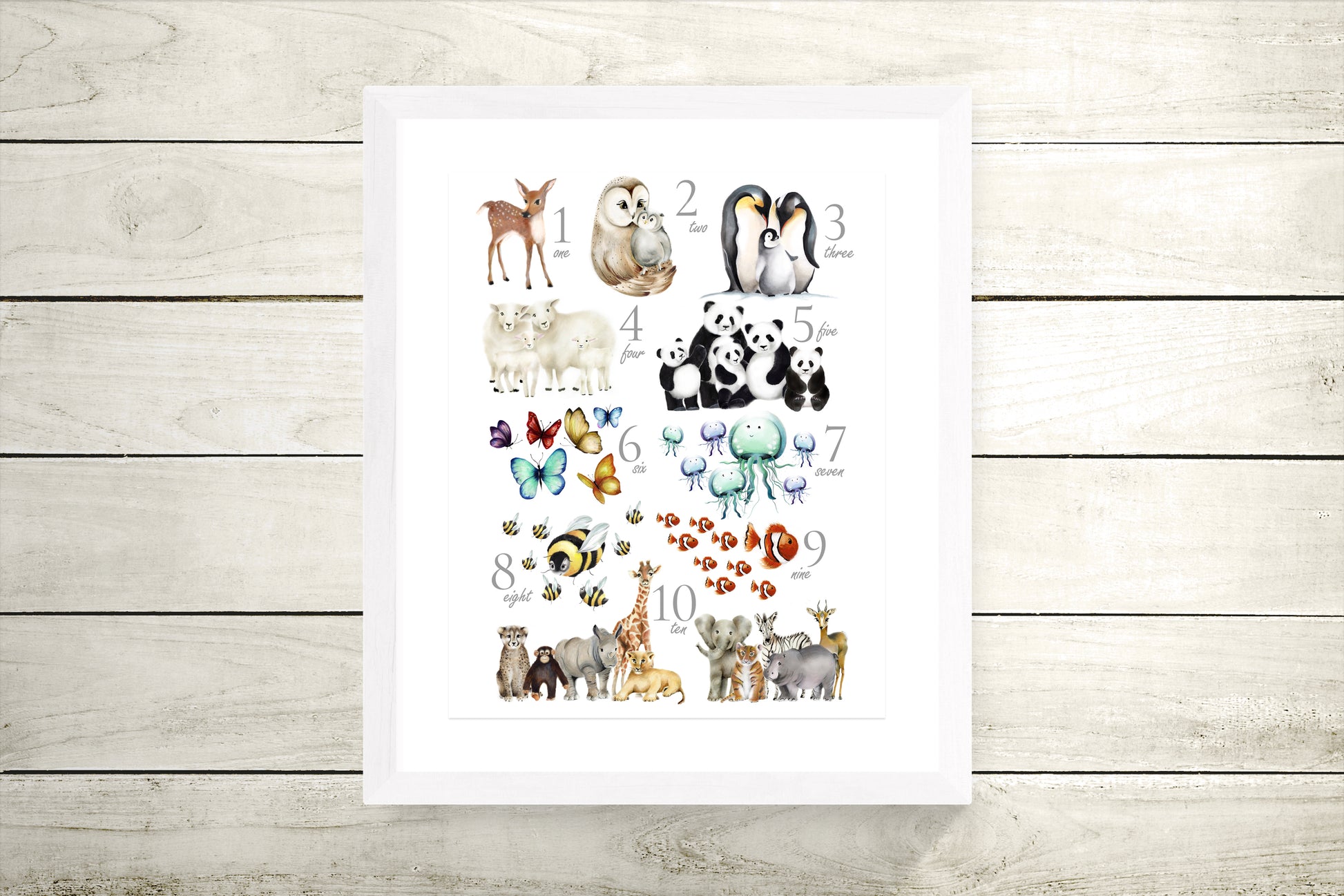 Animal Numbers Print - Studio Q - Art by Nicky Quartermaine Scott