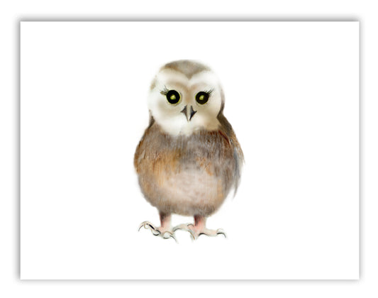 Baby Owl Nursery Art Print - Studio Q - Art by Nicky Quartermaine Scott