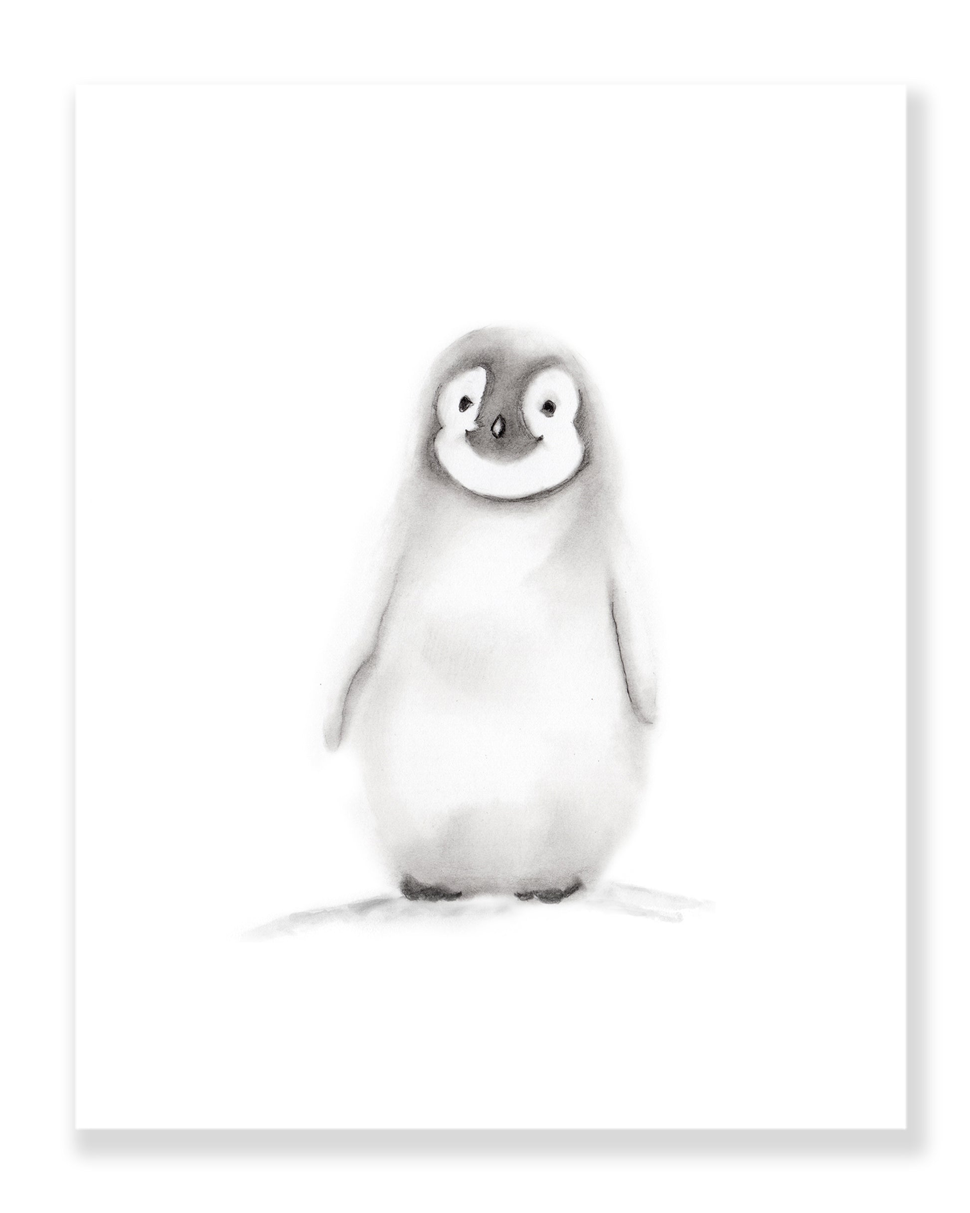 Penguin Pencil Drawing Print - Studio Q - Art by Nicky Quartermaine Scott
