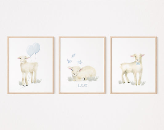 Baby Lambs for Boy - Set of 3 - Studio Q - Art by Nicky Quartermaine Scott