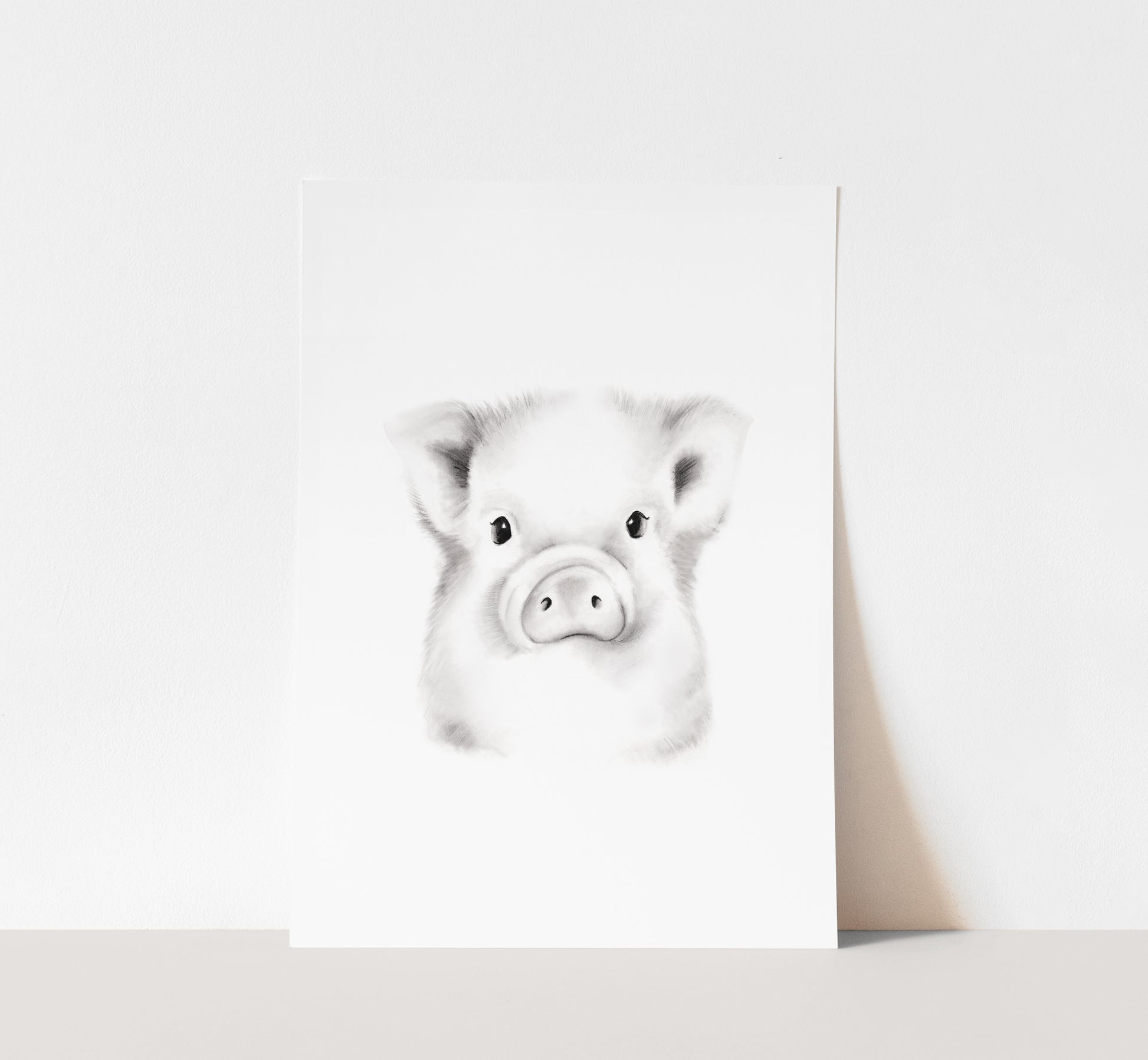 Pig Sketch Fluffy Face Print- Studio Q - Art by Nicky Quartermaine Scott