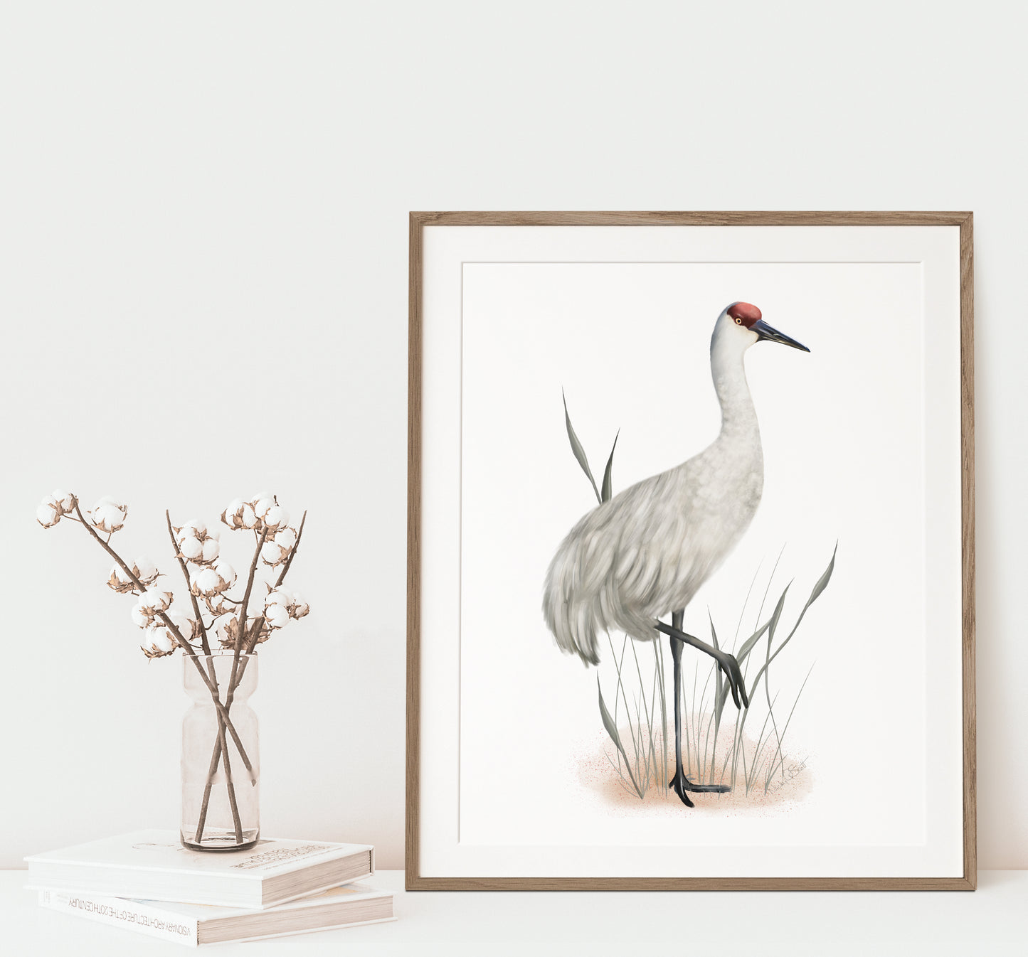 Studio Q - Art by NIcky Quartermaine Scott - Sandhill Crane Bird Art Print