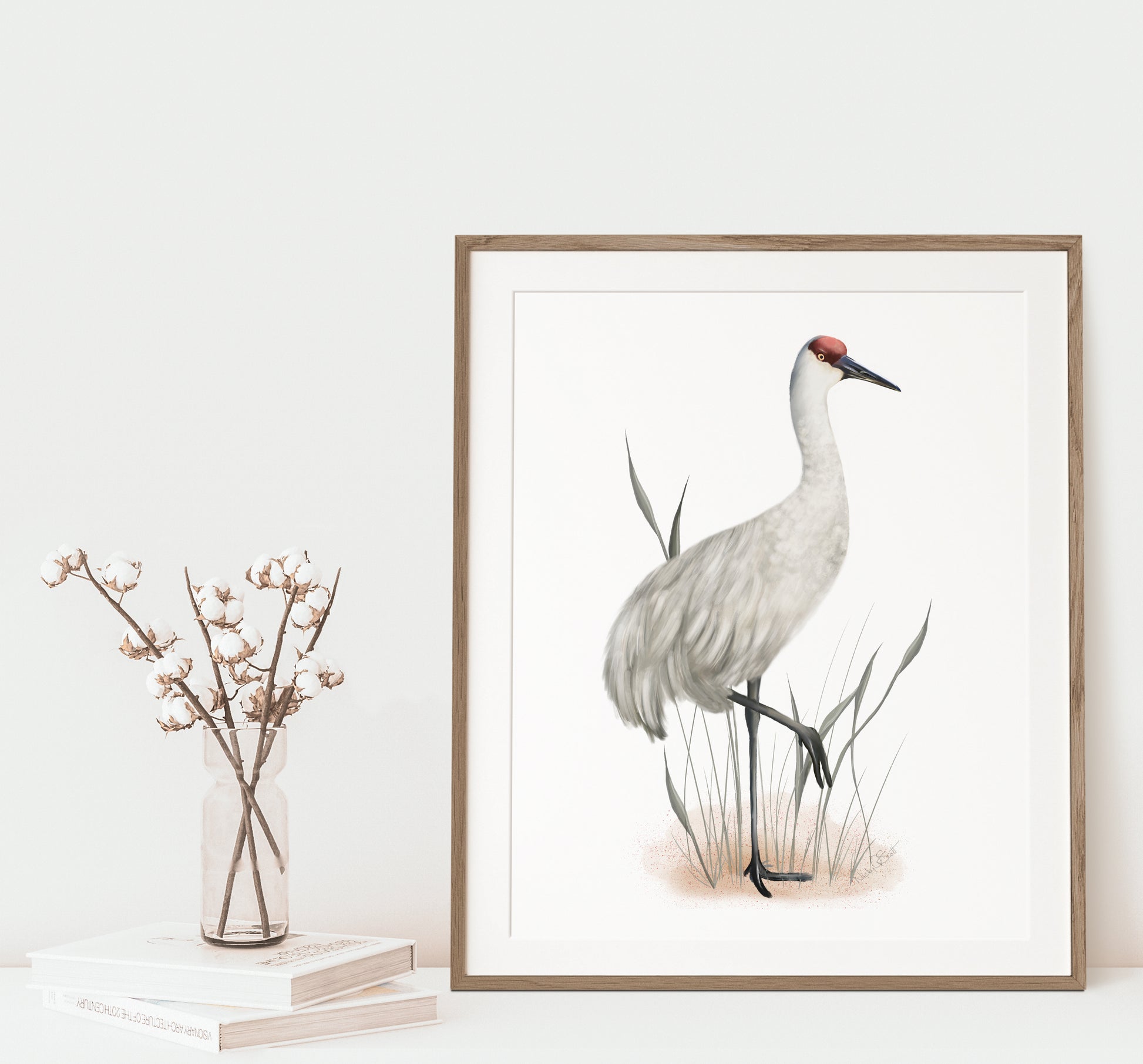 Studio Q - Art by NIcky Quartermaine Scott - Sandhill Crane Bird Art Print