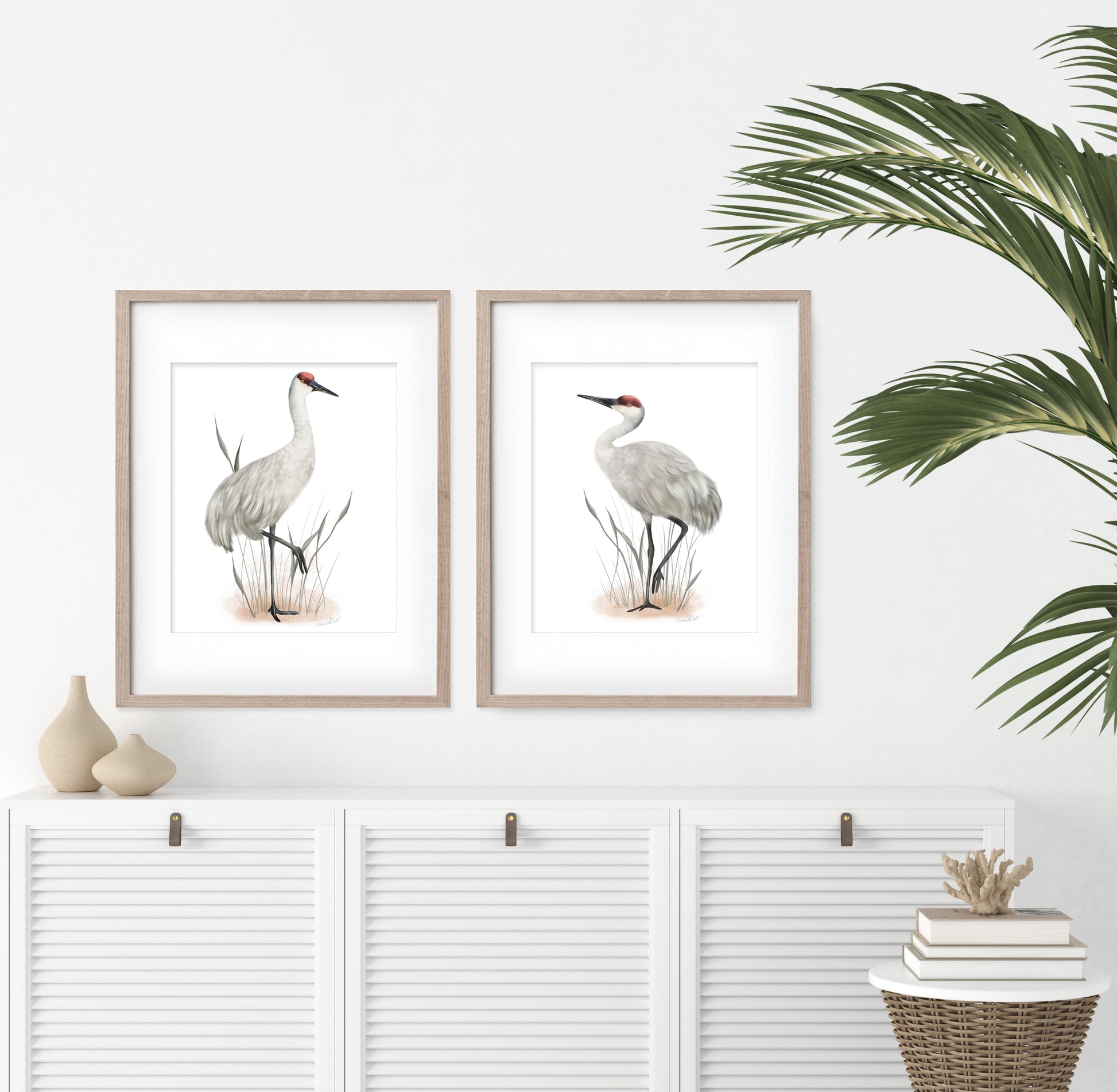 Set of 2 Sandhill Crane art prints in grey wood frames hanging on a wall in a coastal style room - Studio Q - Art by Nicky Quartermaine Scott