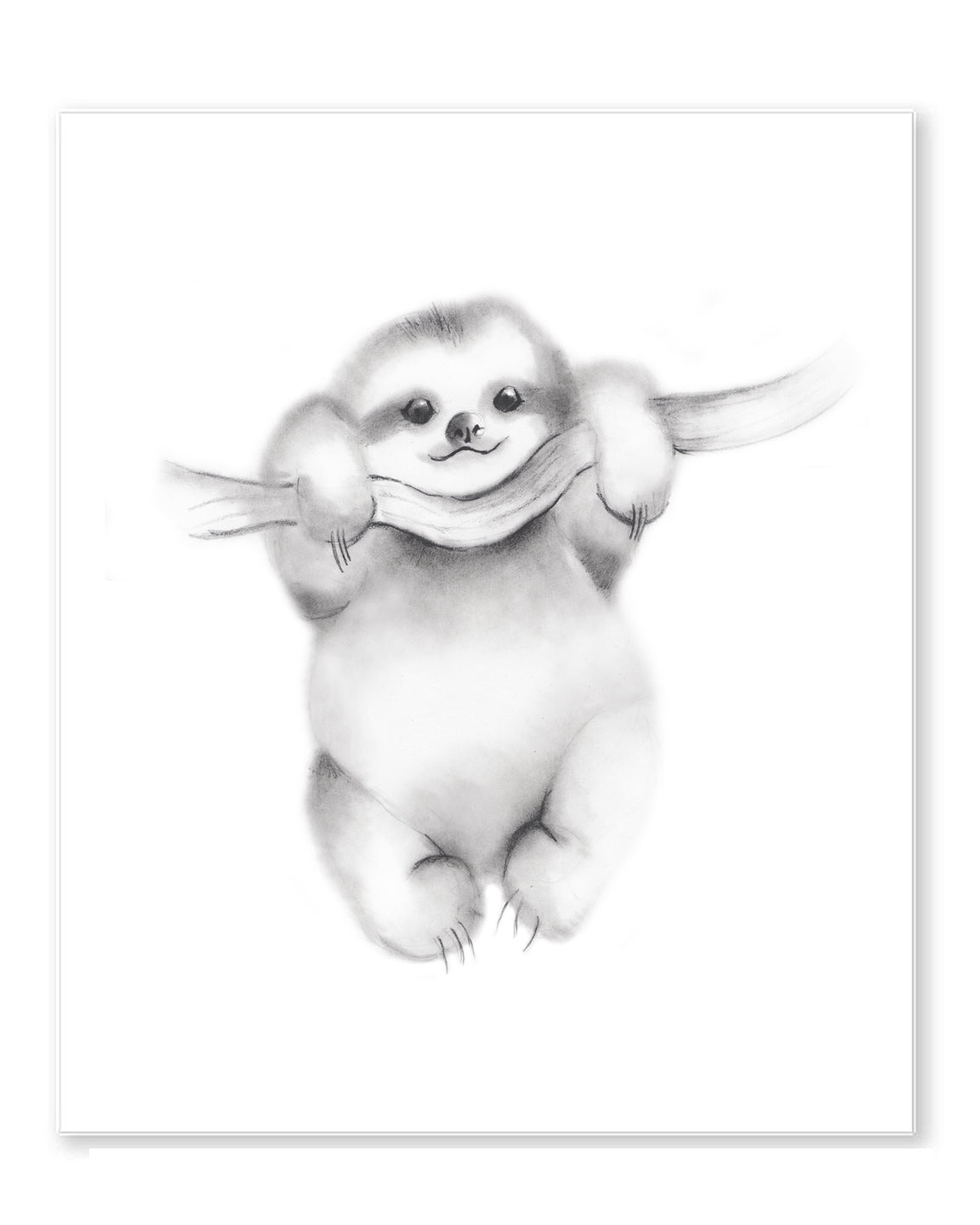 Sloth Pencil Drawing Print- Studio Q - Art by Nicky Quartermaine Scott