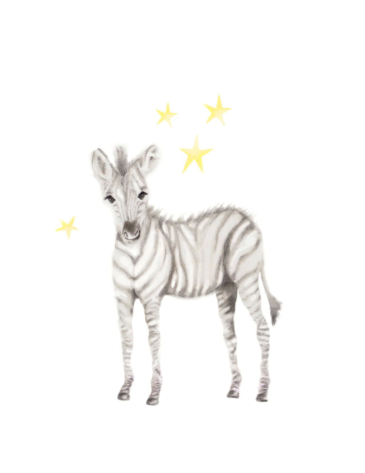 Safari Animal Art Prints - Set of 4 - Studio Q - Art by Nicky Quartermaine Scott