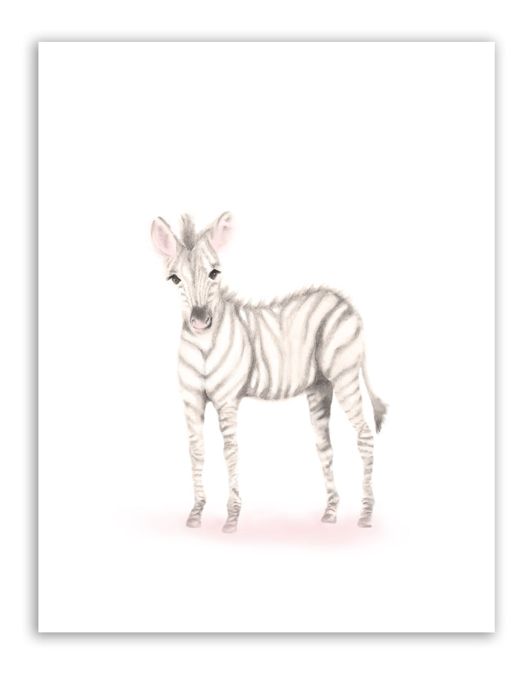 Zebra Nursery Art Print - Sweet Blush - Studio Q - Art by Nicky Quartermaine Scott